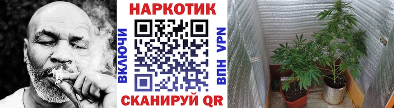 Где можно купить наркотики Светлогорск МАРИХУАНА  Меф  А ПВП  Гашиш 