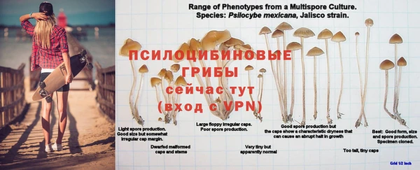 марихуана Аркадак