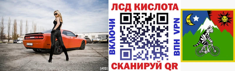 shop какой сайт  Светлогорск  Марки 25I-NBOMe 1,8мг  даркнет сайт 